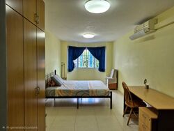 Carpmael Road (D15), Terrace #502453231